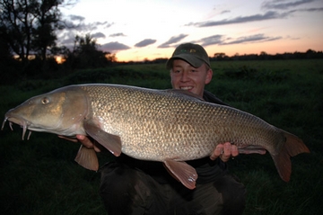 barbel