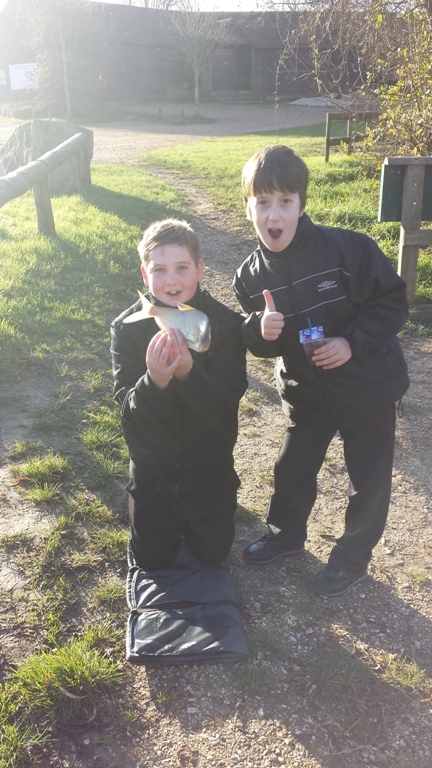 Bream on the Feeder