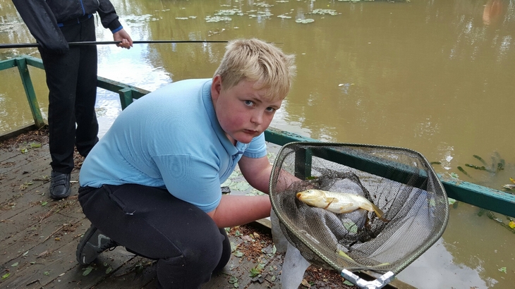 Koi Carp