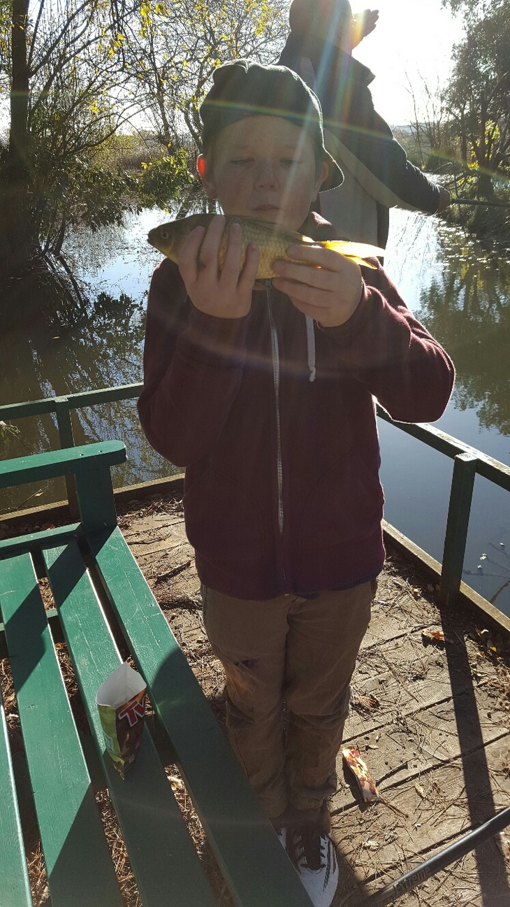 Nice Common Carp