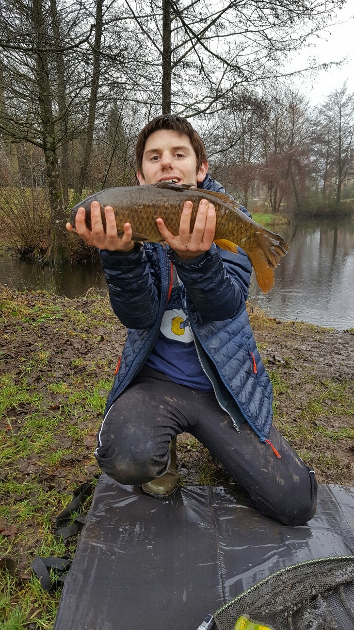 Nice Common Carp