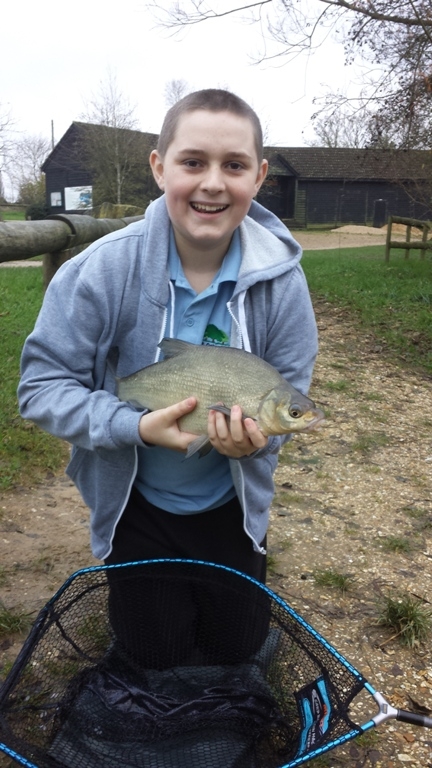 Bream