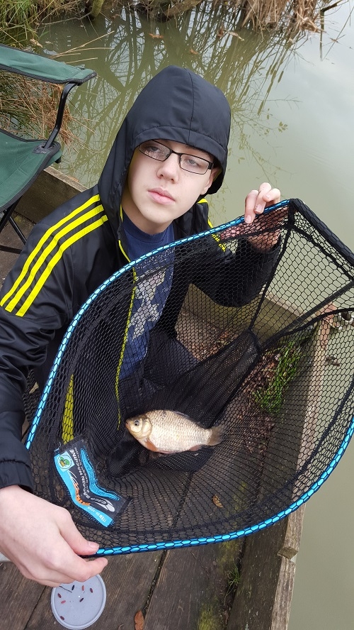 nice crucian Carp