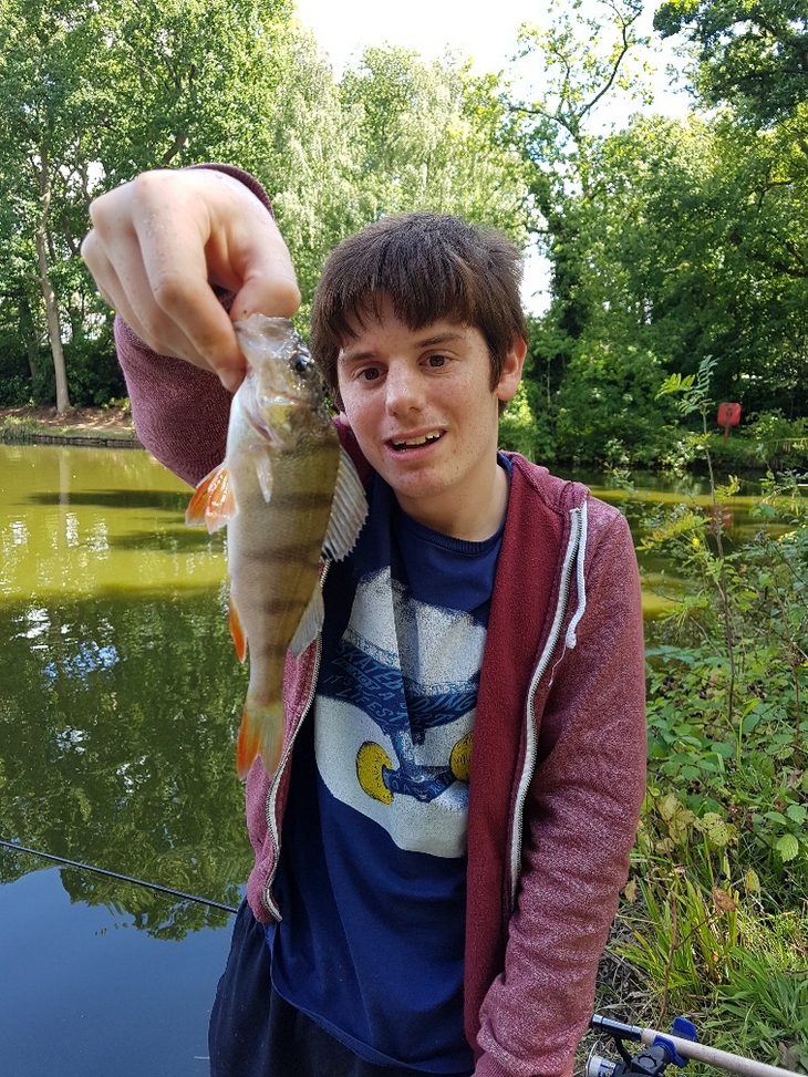 Stripy Perch