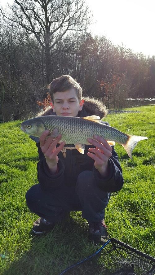 Cracking Chub