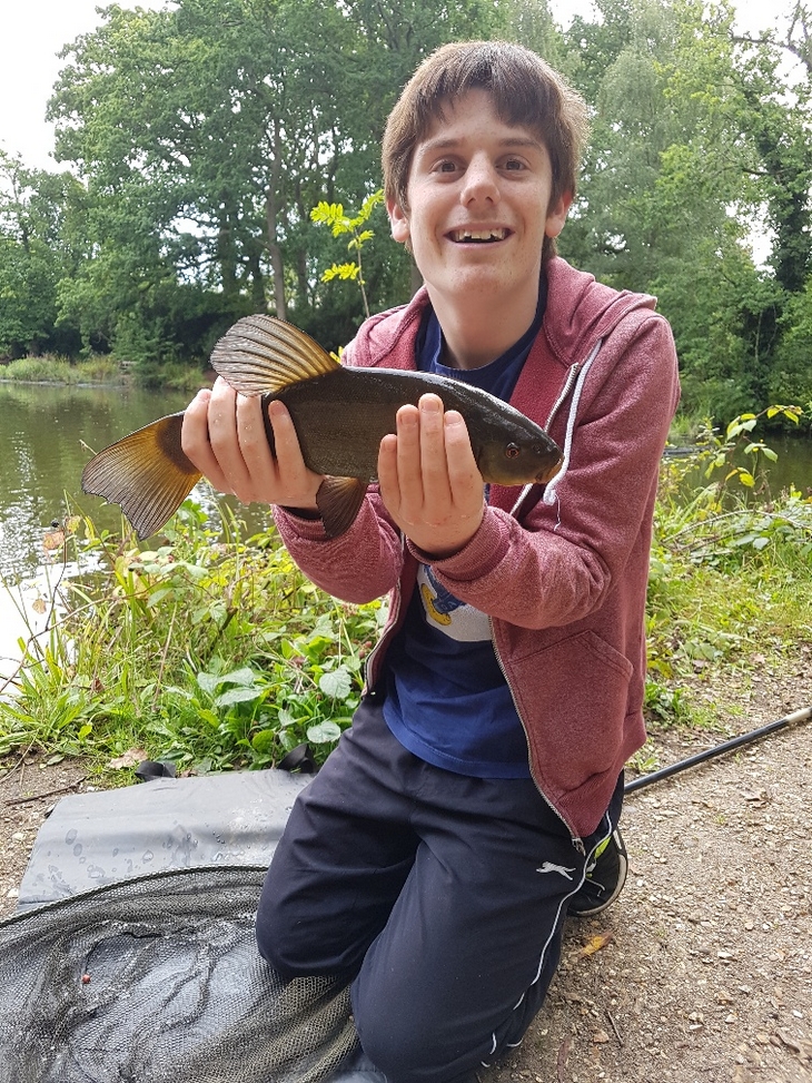 Green Tench