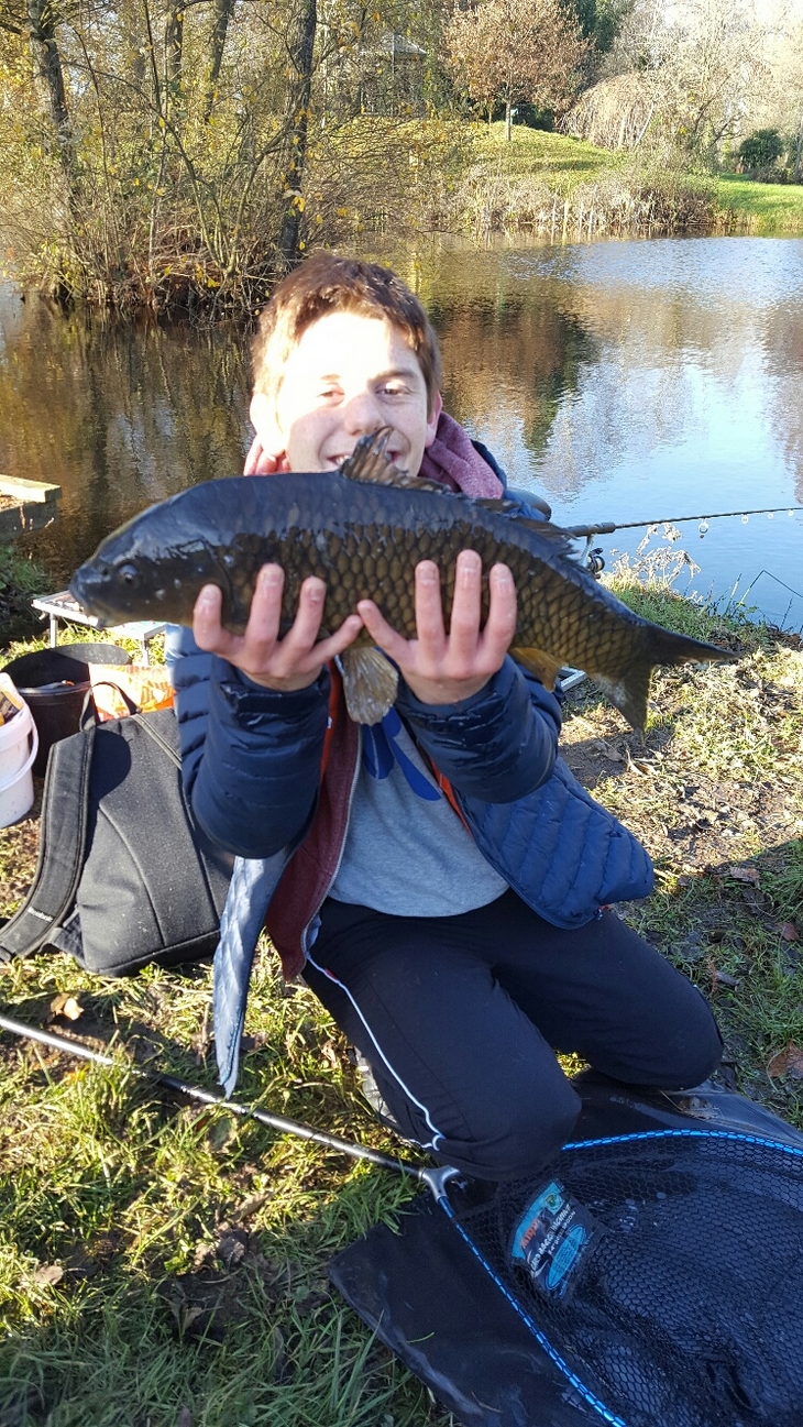 Great Common Carp