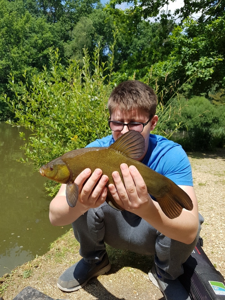 Nice Tench