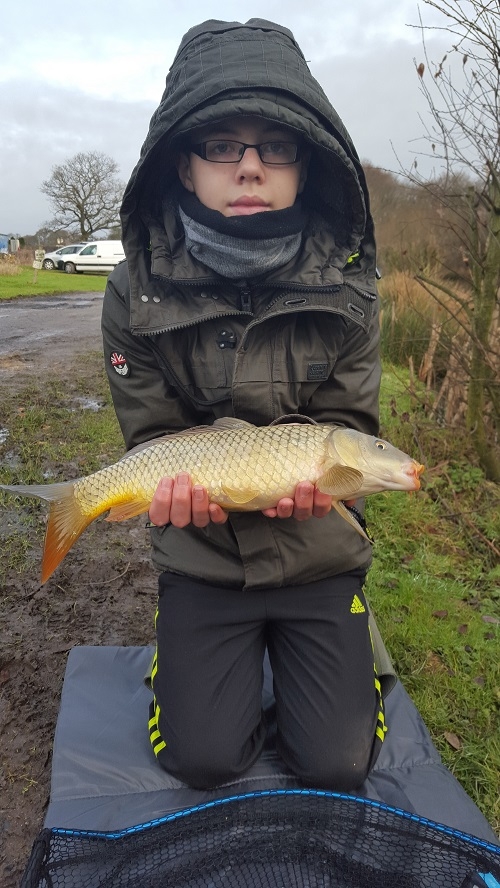 Nice Common Carp