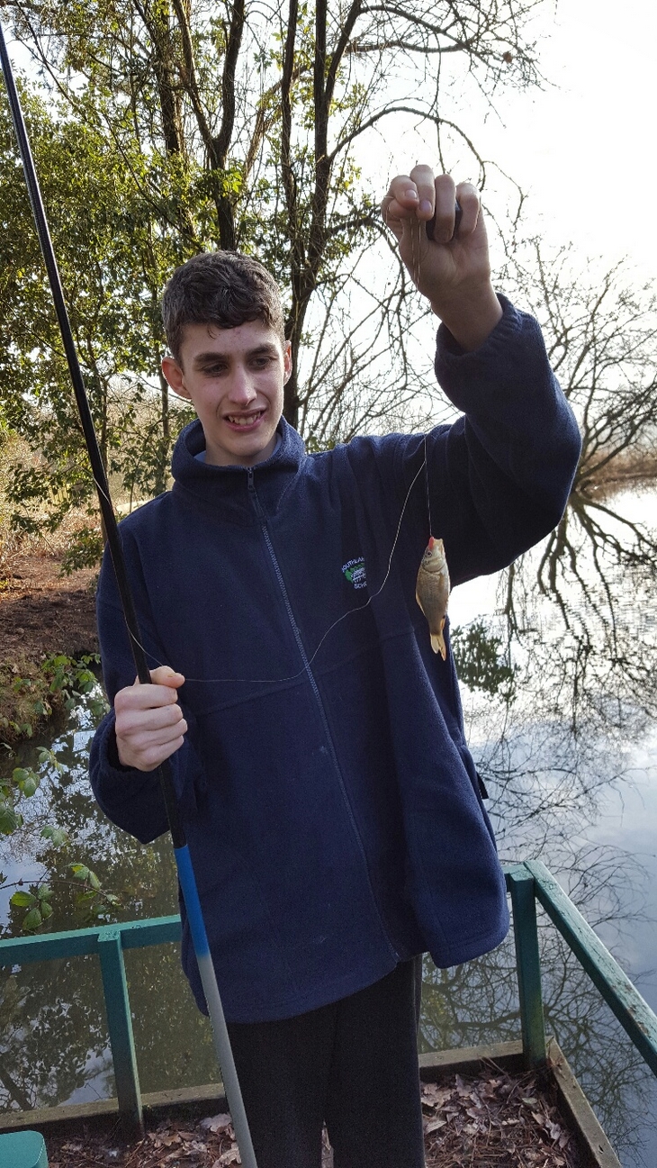 Nice Common Carp