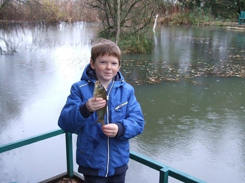 Nice Common Carp