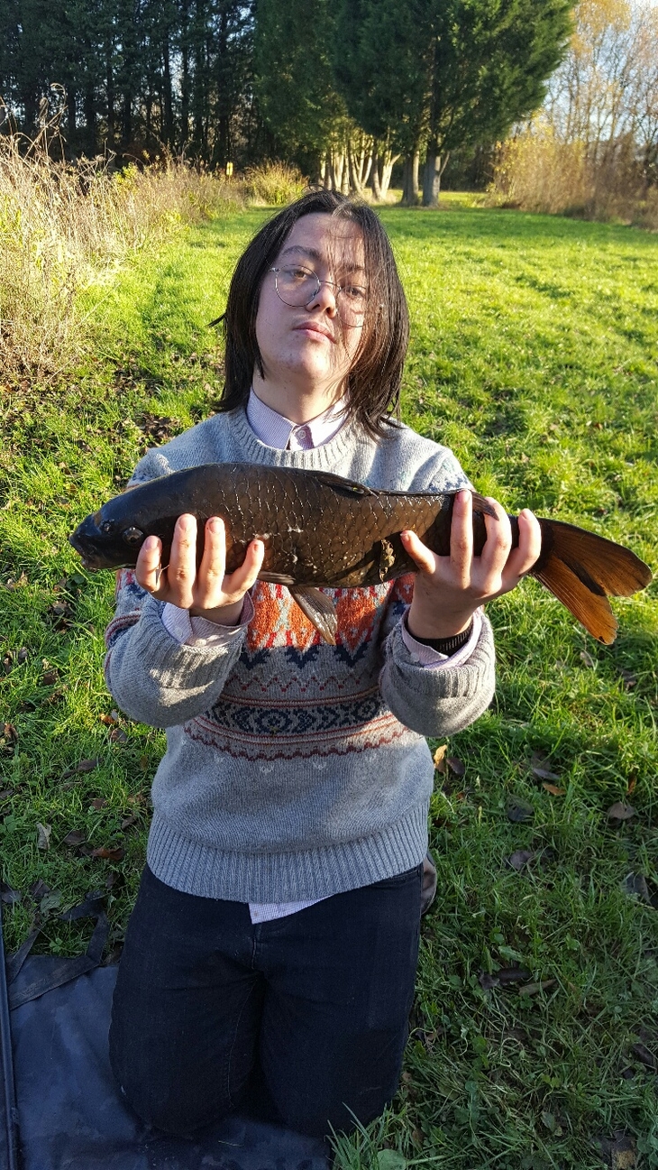 Nice Common Carp