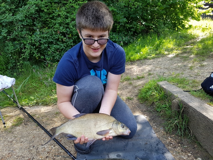 Great Bream on the feeder