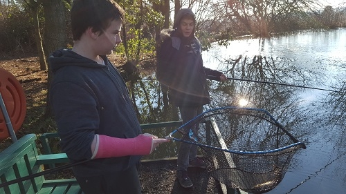 Nice Common Carp