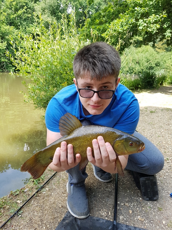 tench feeding well