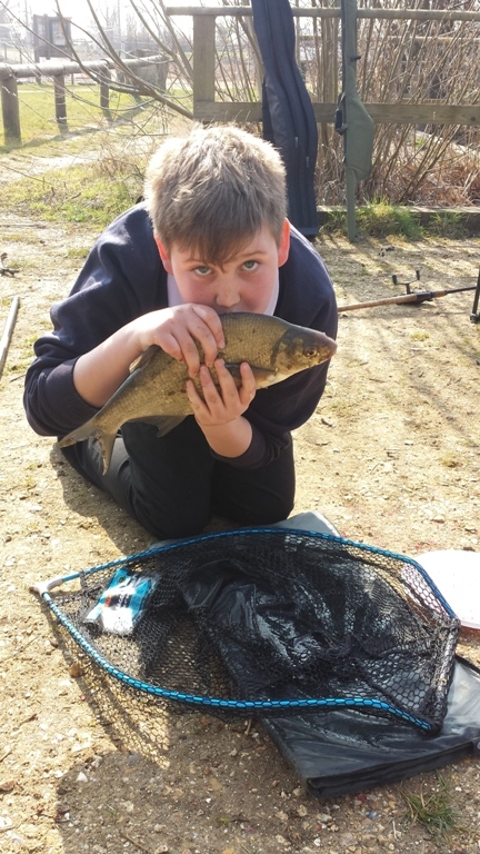 Nice Bream