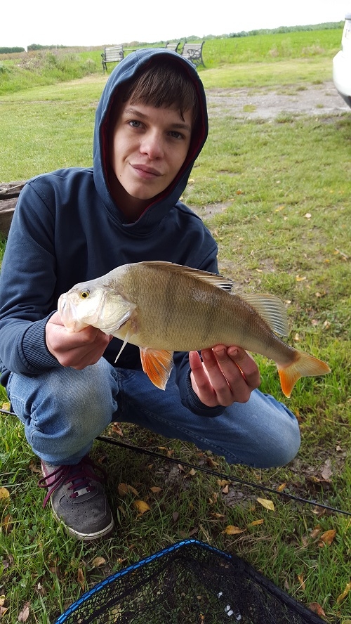 Cracking Perch