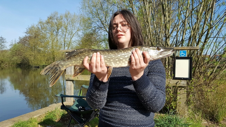 Great Pike