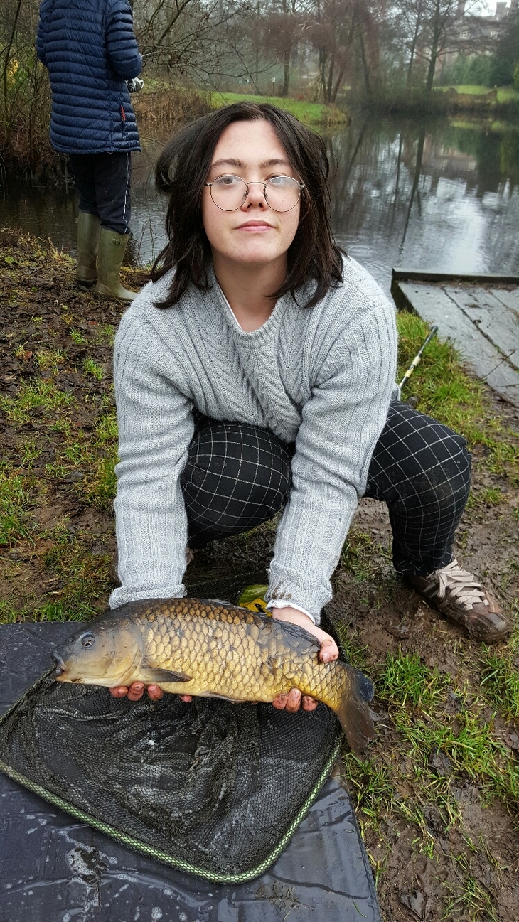 Nice Common Carp