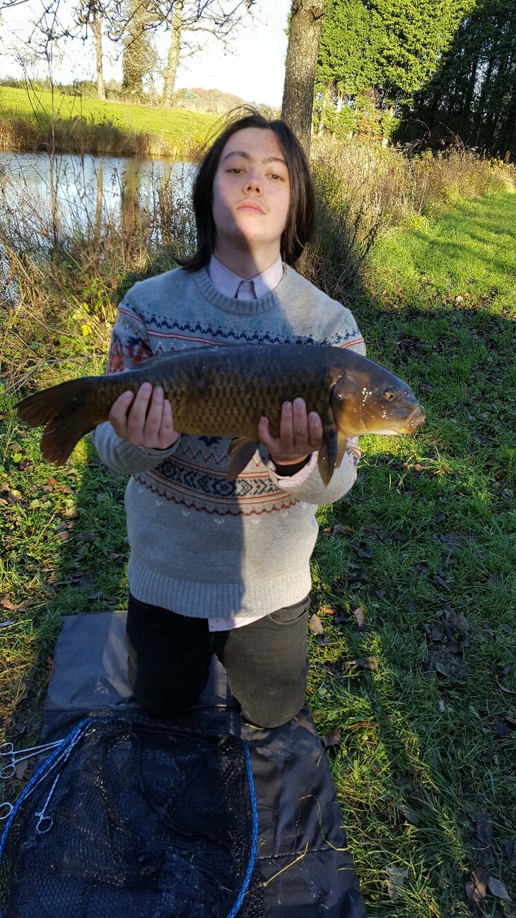 Nice Common Carp