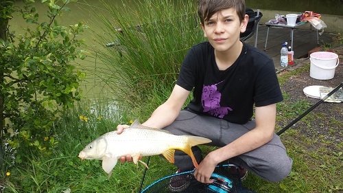 Nice Common Carp