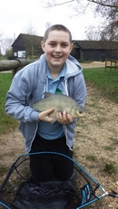 Bream