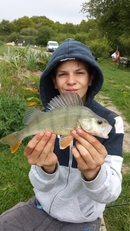 Cracking Perch