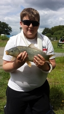 Nice Common Carp