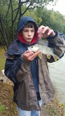 Perch Fishing