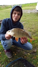 Cracking Perch