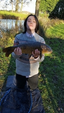 Nice Common Carp