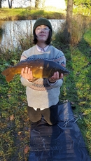 Nice Mirror Carp