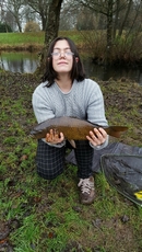 Great Carp