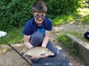 Great Bream on the feeder