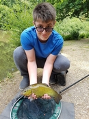 Tench