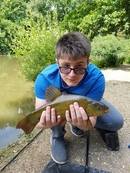 tench feeding well