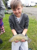 Levi Great Tench