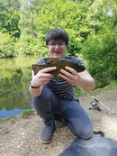 Other Tench
