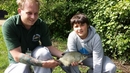 Bream